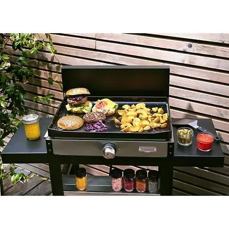 Apartment Mobilhome Les Agapanthes Au Camping Les Pins Maritimes Hyeres